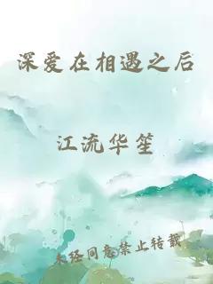 深爱在相遇之后