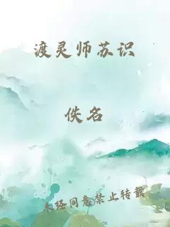 渡灵师苏识