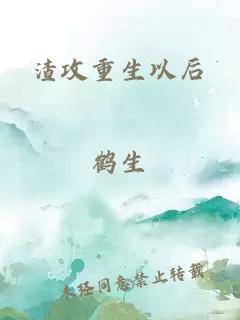 渣攻重生以后