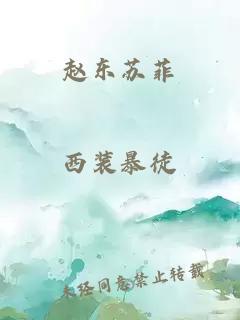 赵东苏菲