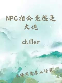 NPC相公竟然是大佬