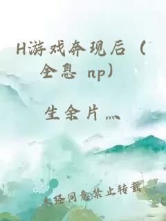 H游戏奔现后（全息 np）