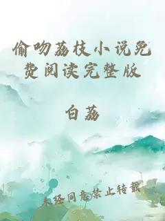 偷吻荔枝小说免费阅读完整版