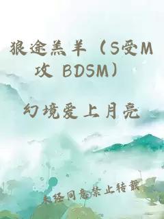 狼途羔羊（S受M攻 BDSM）