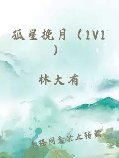 孤星挽月（1V1）