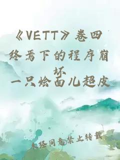 《VETT》卷四 终焉下的程序崩坏