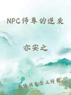 NPC师尊的逆袭