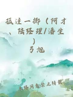 孤注一掷（阿才、陆经理/潘生）