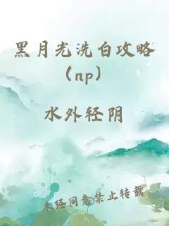 黑月光洗白攻略（np）