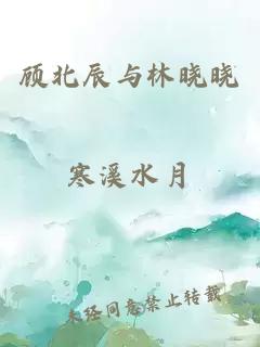 顾北辰与林晓晓