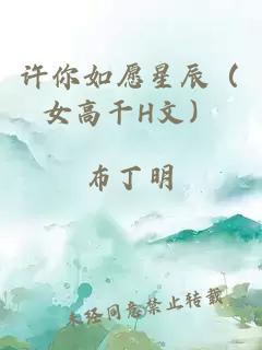 许你如愿星辰（女高干H文）