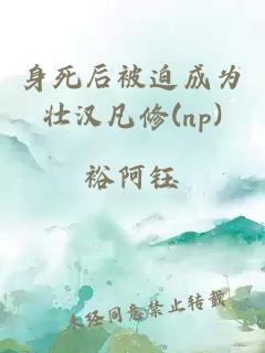 身死后被迫成为壮汉凡修(np)