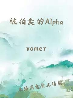 被拍卖的Alpha