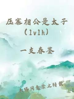 压寨相公是太子（1v1h）