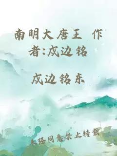 南明大唐王 作者:戍边铭