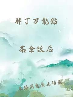 胖丁万能贴