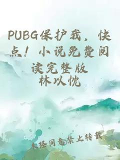 PUBG保护我，快点！小说免费阅读完整版