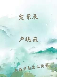 贺景辰