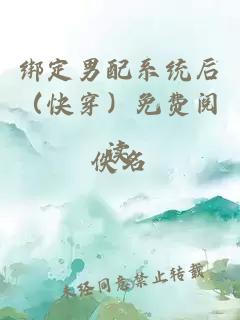 绑定男配系统后（快穿）免费阅读