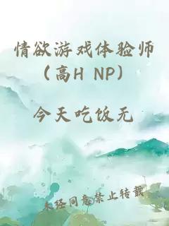 情欲游戏体验师（高H NP）