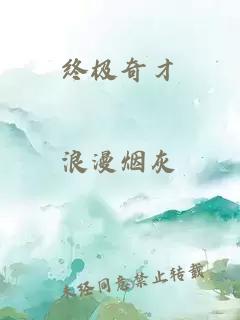 终极奇才