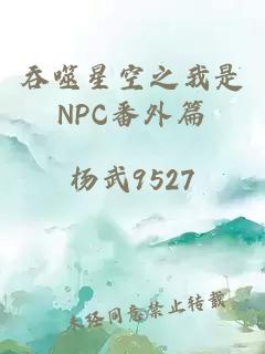 吞噬星空之我是NPC番外篇